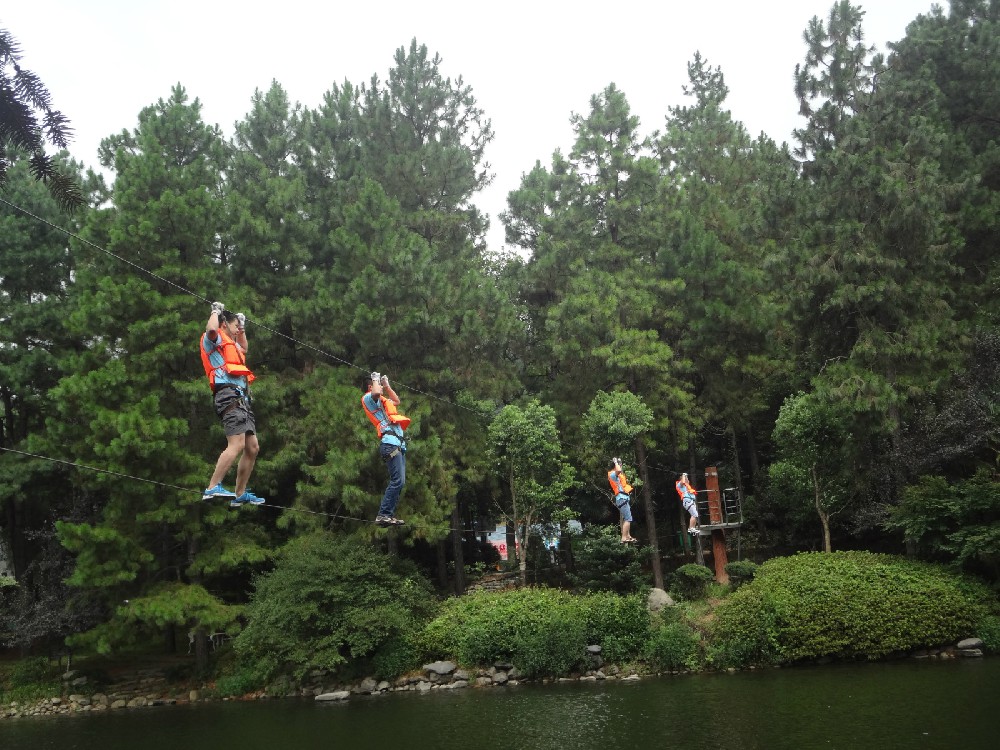 1474529320740152.jpg 1474529320740152.jpg